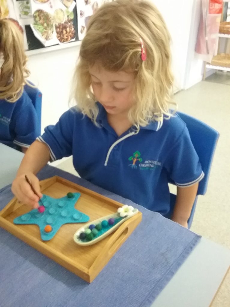 Montessori Children's Centre McLaren Vale